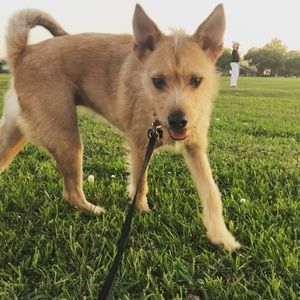 Meet your Posher, Lindsey